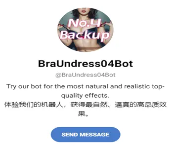 BraUndress04Bot Telegram bot