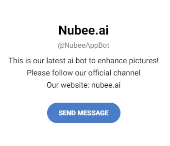 Nubee AI telegram bot